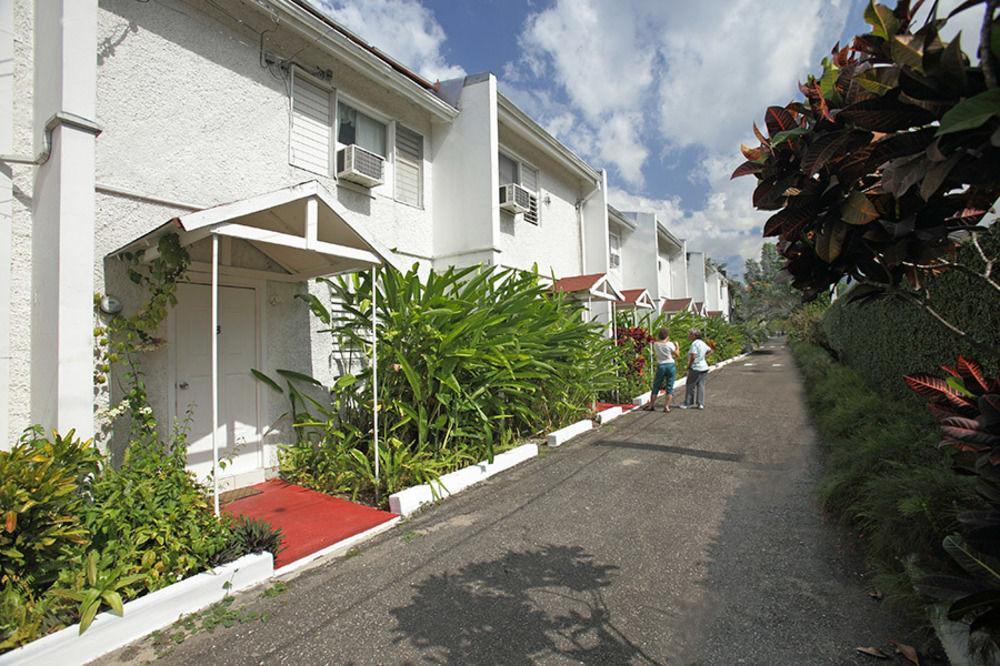 The Gardens Villa Kingston Ngoại thất bức ảnh